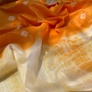 Shibori and Bandhani Hand Dyed Saree